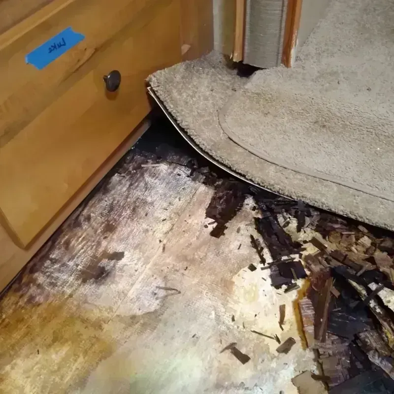 Best Wood Floor Water Damage Service in Fairfield, ME